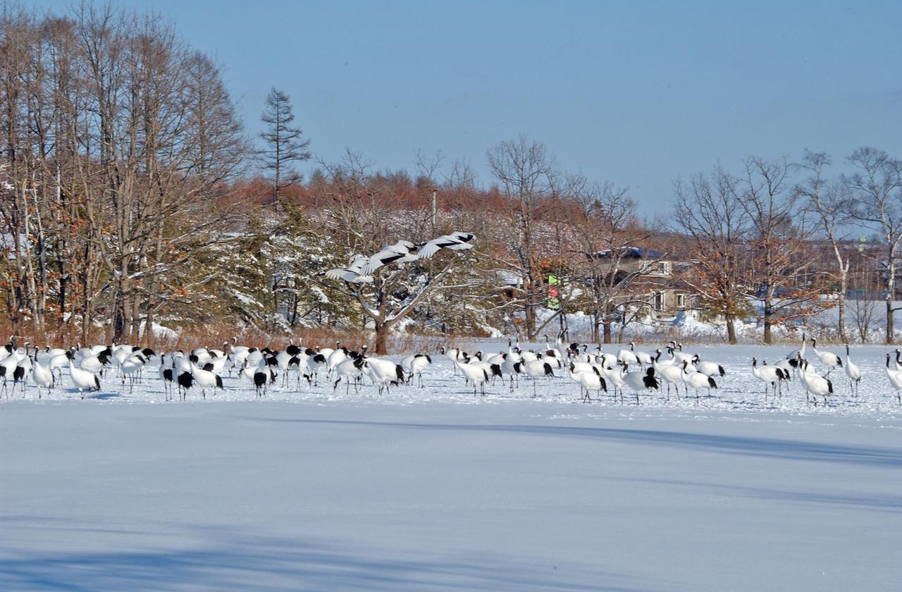 ホテル グリーンパーク つるい  鶴居村 エクステリア 写真
